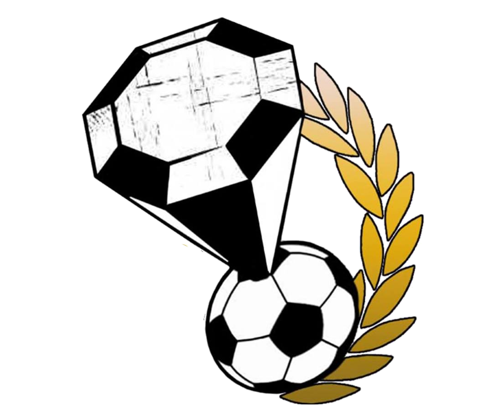 KS AP DIAMONDS ACADEMY